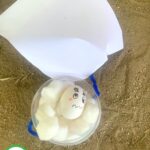 Saving Harry Dumpty